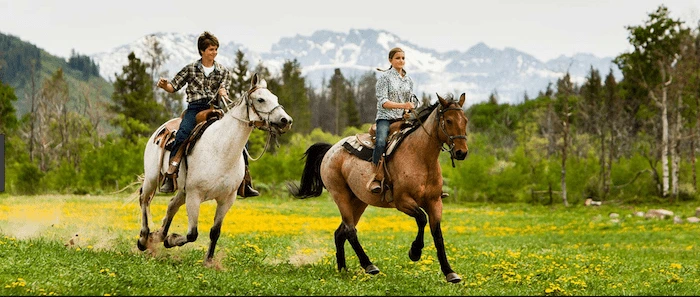 Confident plus-size woman riding Aylesbury a horse through a field with a smile on her face.
